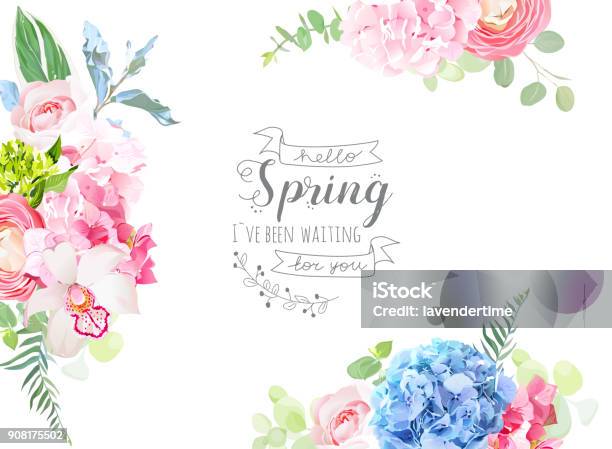 Floral Borders Arranged From Pink Rose White Orchid Ranunculus Stock Illustration - Download Image Now