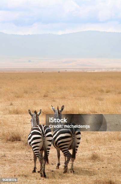 Photo libre de droit de Amour Vrai banque d'images et plus d'images libres de droit de Afrique - Afrique, Afrique de l'Est, Amour