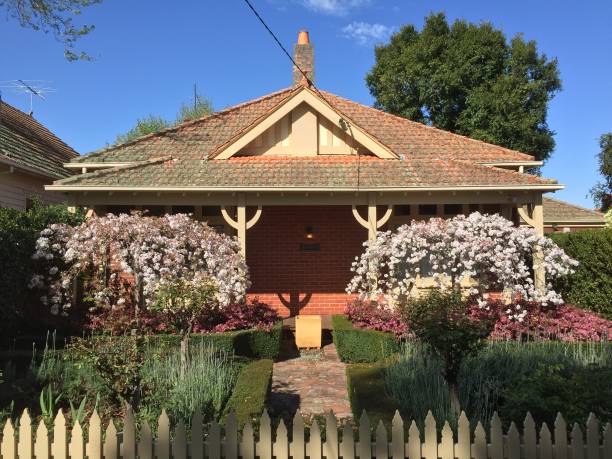 Home: charming century-old cottage with flowering formal front garden Home: formal front garden in century-old cottage with cherry blossom, flowering loropetalum and green hedge traditionally australian stock pictures, royalty-free photos & images