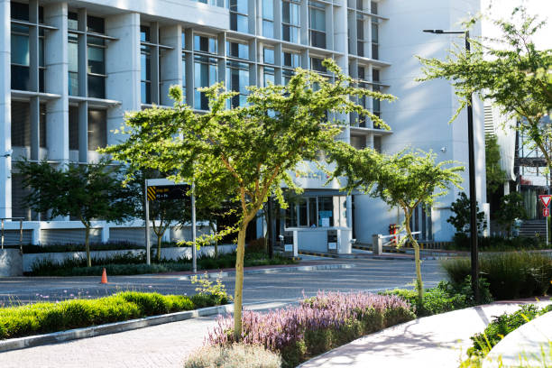 istock Glass building in a modern city 908189252