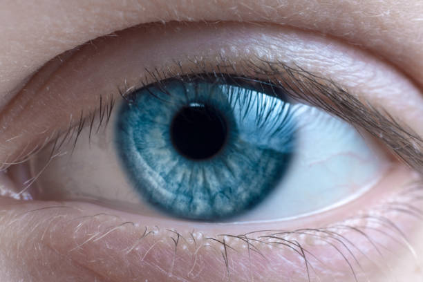 istock close up blue woman eye macro shot. looking at the camera. 908193308