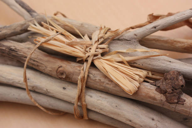 istock Fagot of driftwood tied with raffia 908196752