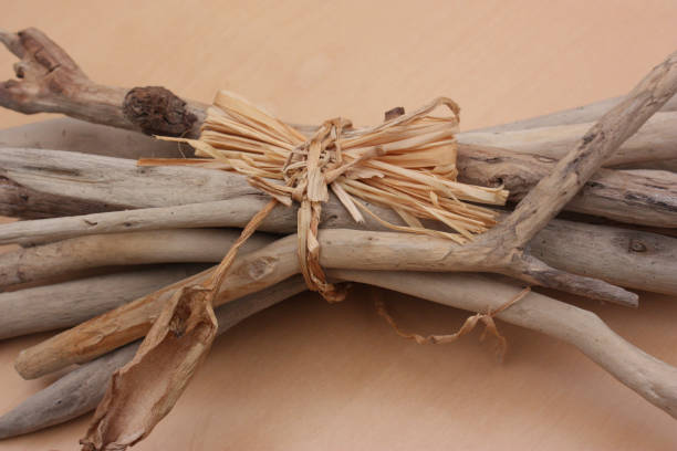 istock Fagot of driftwood tied with raffia 908196758