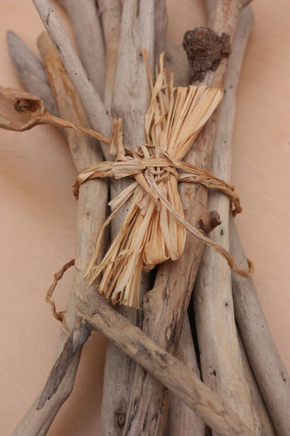 istock Fagot of driftwood tied with raffia 908196762