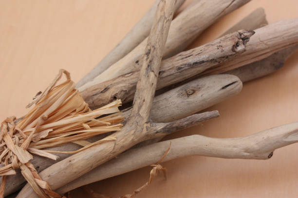 istock Fagot of driftwood tied with raffia 908196764