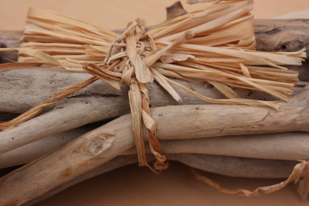 istock Fagot of driftwood tied with raffia 908196794