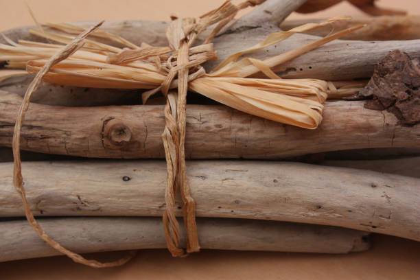 istock Fagot of driftwood tied with raffia 908196810