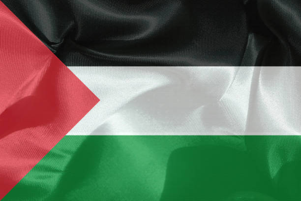 istock Flag of Palestine 908197072
