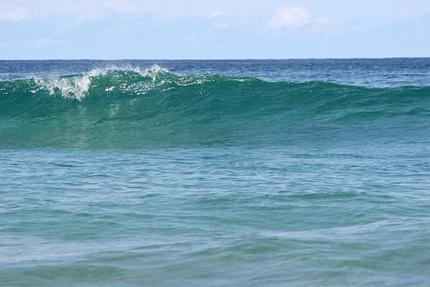 Beach Wave stock photo