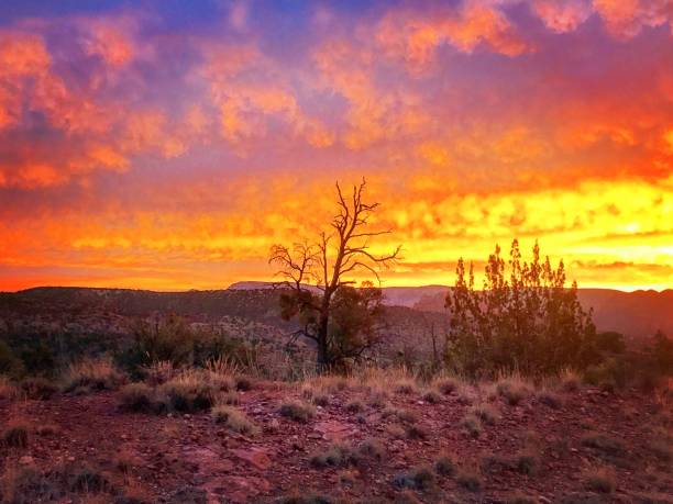 istock Sunrise Sky in Sedona,AZ 908200460