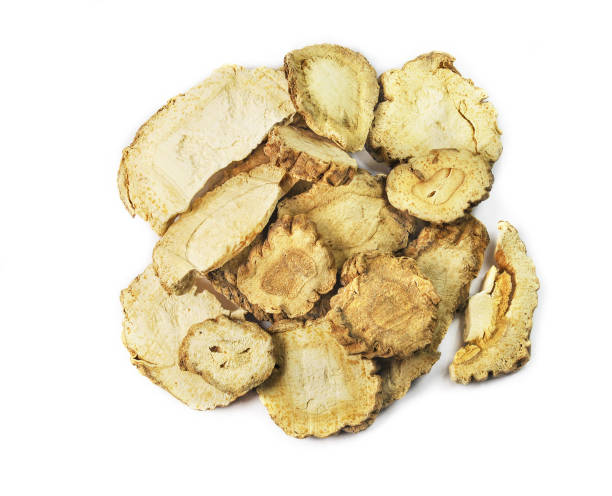 istock Angelica dahurica. Bai Zhi 908200844