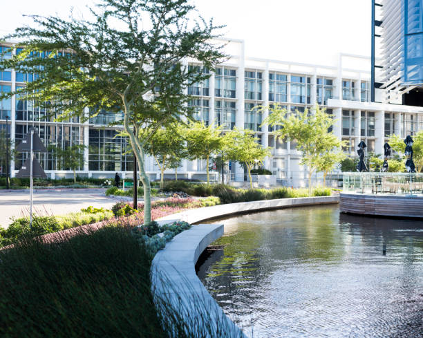 istock Glass building in a modern city with trees and water feature 908205228