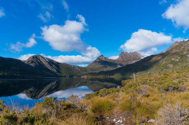 istock Picturesque Mountain landscape with lake 908210494