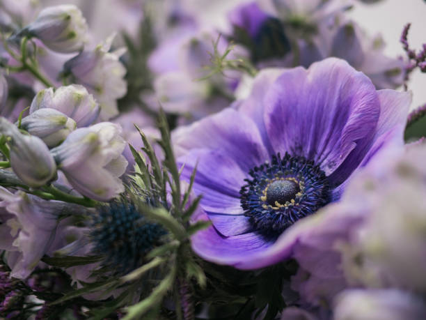 istock Bouquet of purple flowers 908212904