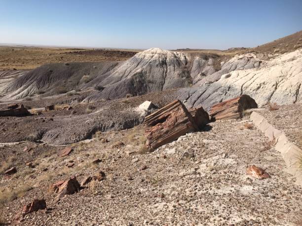 istock Petrified Forest National Park in Arizona, USA 908213906