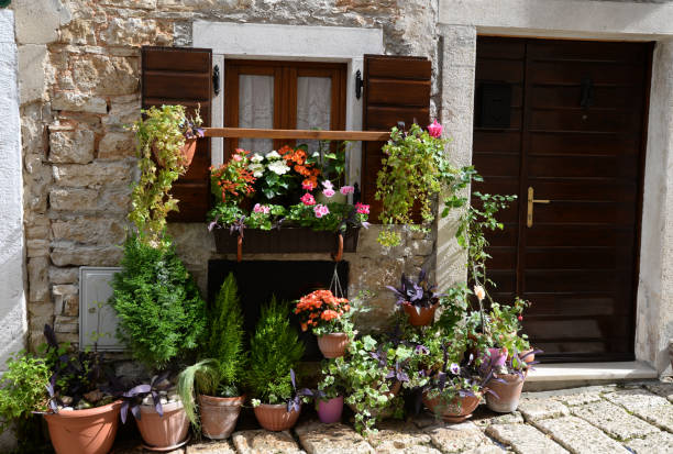 istock Flower window at Bale, Croatia 908219568