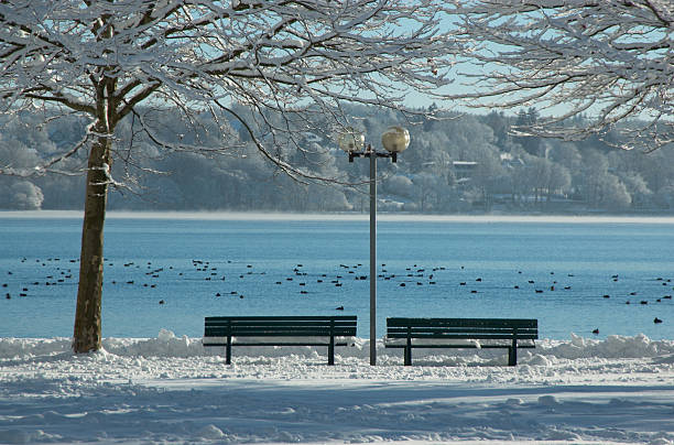 lake in cold winters day stock photo