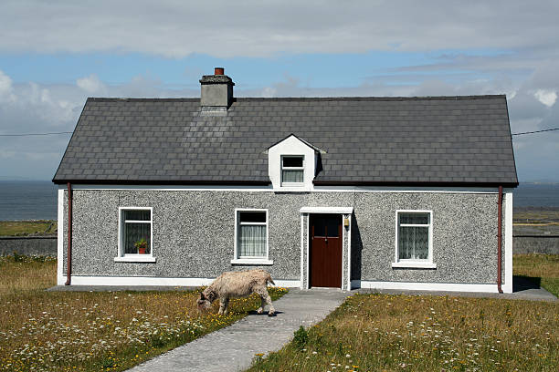 attenzione all'asino - republic of ireland irish culture cottage door foto e immagini stock