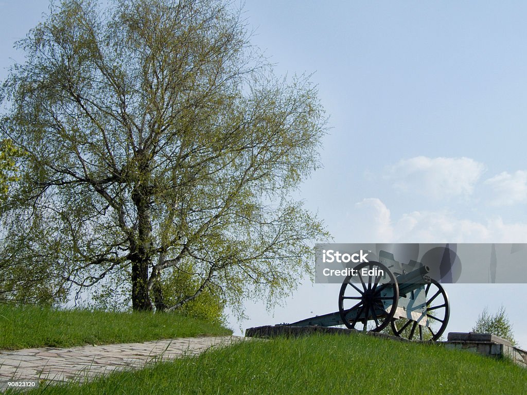 O old canon - Foto de stock de Arma de Fogo royalty-free