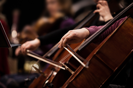 The hands of a musician playing the cello