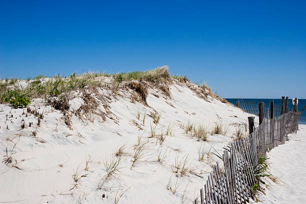 istock Dunes and Snow Fence - 2 90823301