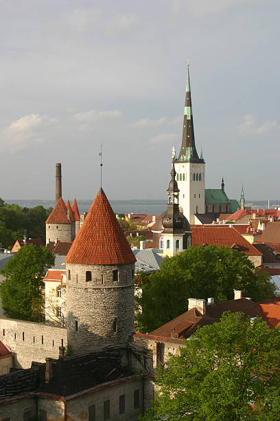 istock Old town of Tallinn in spring 90823403