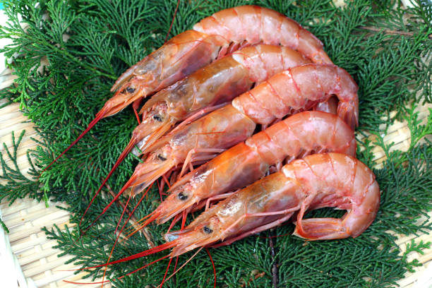 Raw red prawns The fresh raw red prawns which I served to a colander. shrimp seafood photos stock pictures, royalty-free photos & images