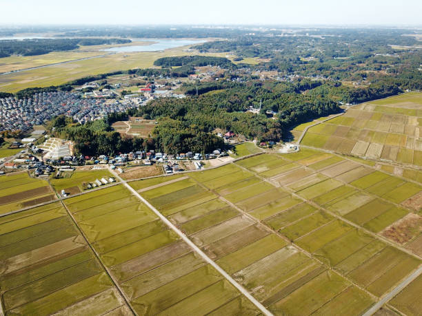 istock Rural scenery in Japan 908255434