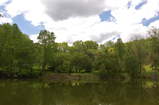 Trees and the summer afternoon sky are beautifully reflected in the pond at Holmdel Park