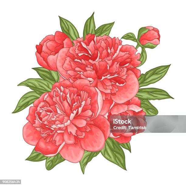 Floral Background With A Bouquet Of Peony Flowers Stock Illustration - Download Image Now - Art, Backgrounds, Beauty