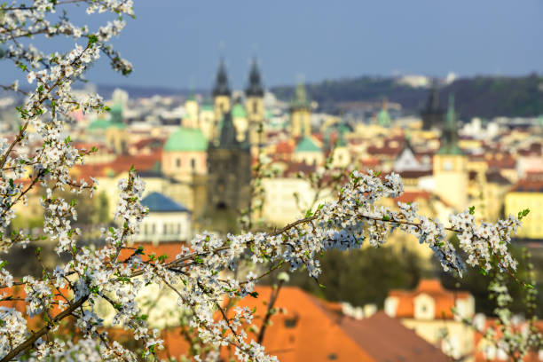 Beautiful spring time at Prague. Colorful view from Petrin yard. Czech republic