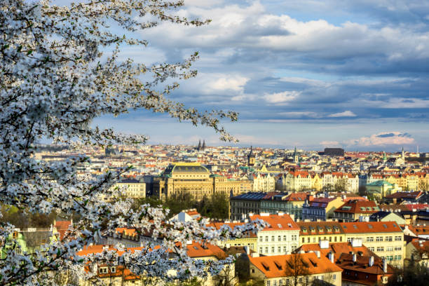 istock Spring time at Prague. Colorful view from Petrin yard. Czech republic 908260466