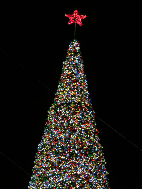 istock Christmas tree in the night  in Nazareth 908260544