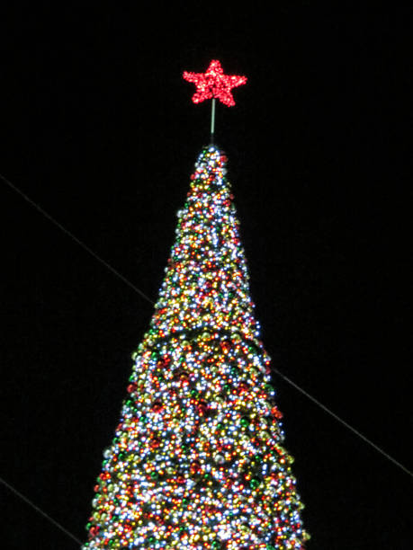 istock Christmas tree in the night  in Nazareth 908260586