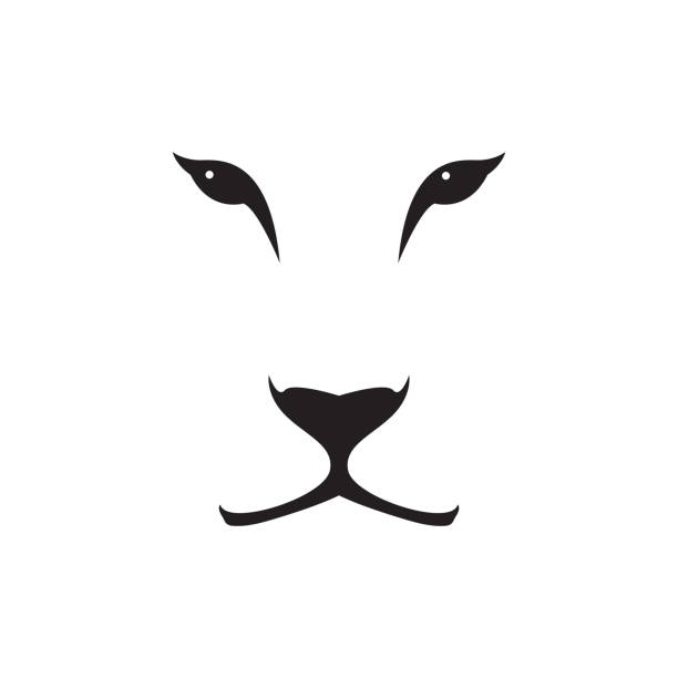 векторное изображение головы львицы на белом фоне. дикая кошка. - mountain lion undomesticated cat big cat animal stock illustrations