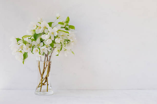 White flowers in a vase on a light background. Interior decor