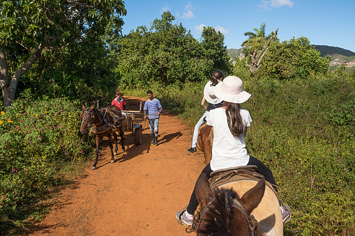 Vinales: Cohabitation between tourists on horseback and Cubans with the wagon in the valley of Vinales (Cuba)