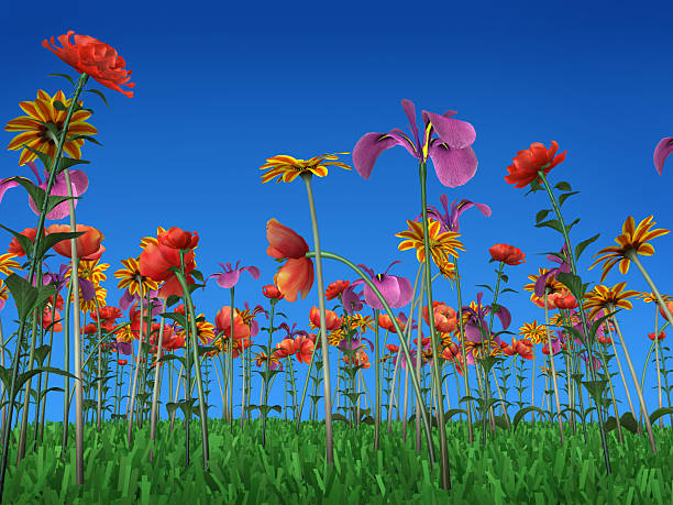 istock The colors of spring 90826495