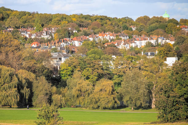 istock View towards Hampstead garden suburb from Hampstead Heath, London 908268646