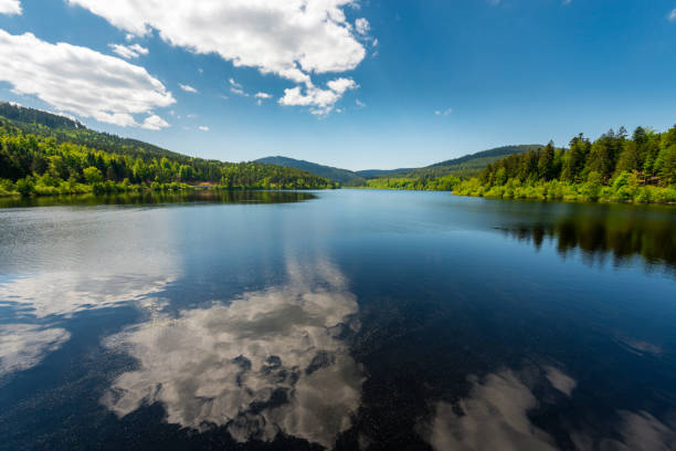 reservoir lake schwarzenbach in black forest in germany - black forest forest sky blue imagens e fotografias de stock