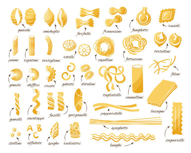 Pasta collection. Set of different type of pasta. Pasta collection. Set of different types. Vector isolated decorative elements for menu or package design. pasta stock illustrations