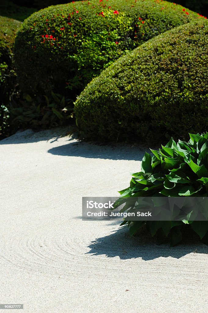 Rośliny & cienie - Zbiór zdjęć royalty-free (Azja)