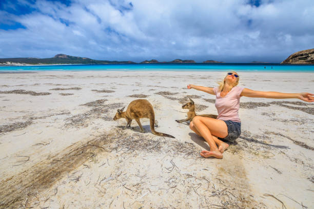 Woman with kangaroos at Lucky Bay Happy caucasian woman with open arms near a two Kangaroos at Lucky Bay in Cape The Grand National Park, Esperance, Western Australia. Female tourist enjoys one of the WA's most famous beaches. cape le grand national park stock pictures, royalty-free photos & images