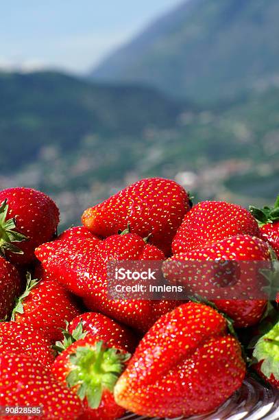 Colinas De Morango - Fotografias de stock e mais imagens de Agricultura - Agricultura, Alergia, Alergia alimentar