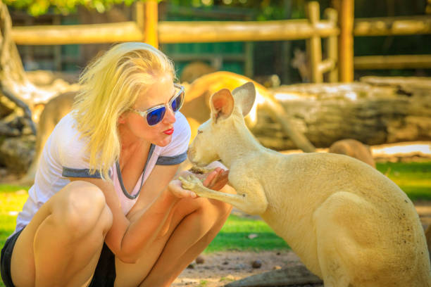 istock Woman kissing Kangaroo 908287098