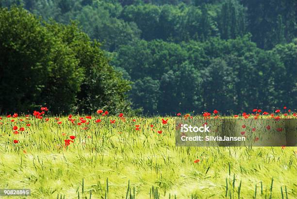 Verde Y Rojo Foto de stock y más banco de imágenes de Abstracto - Abstracto, Agricultura, Aire libre