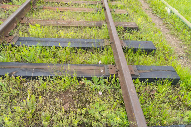 istock Rusty old rails in the city in nature. 908289476