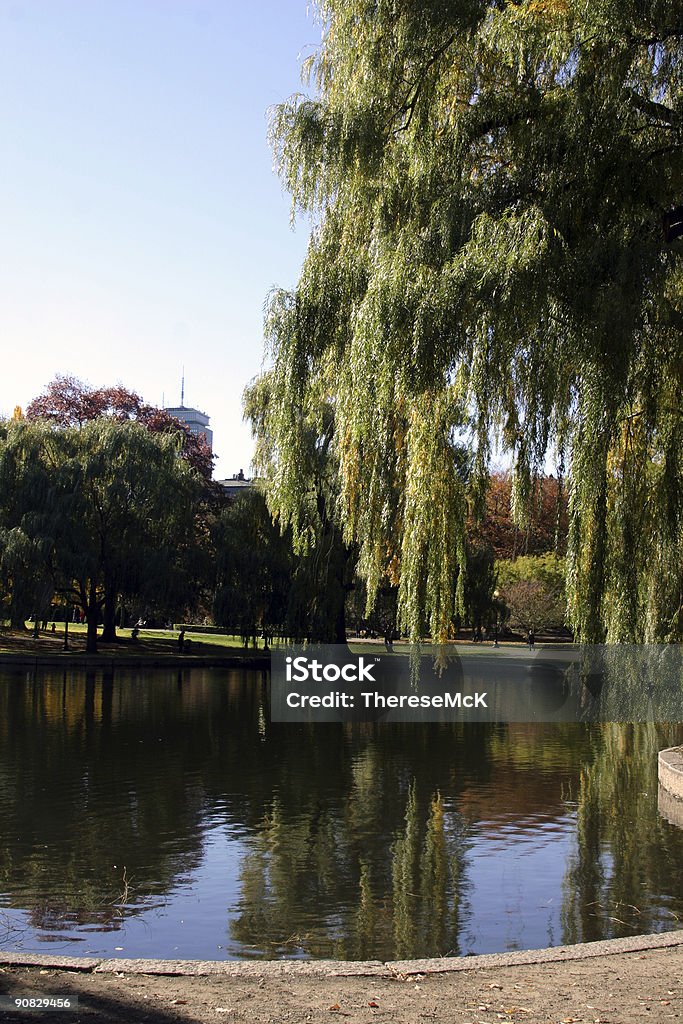 Lago en el parque Boston Common - Foto de stock de Aire libre libre de derechos