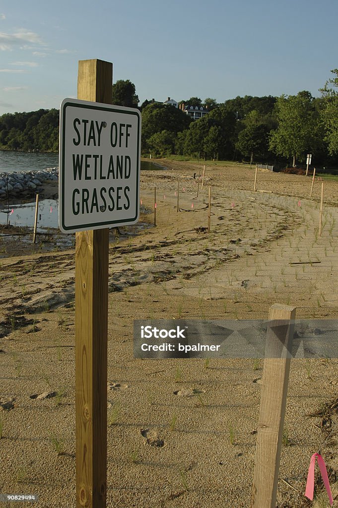 Пляж трава revival - Стоковые фото Восстанавливать роялти-фри