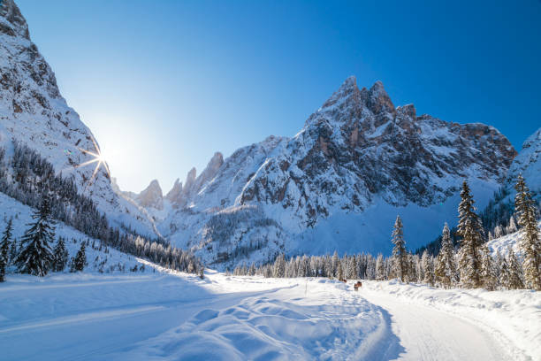 istock Sunny morning in Val Fiscalina 908296600